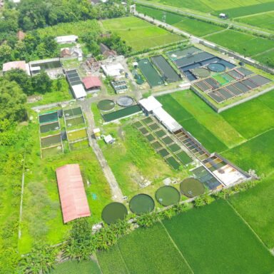 Baraja Fish Farm