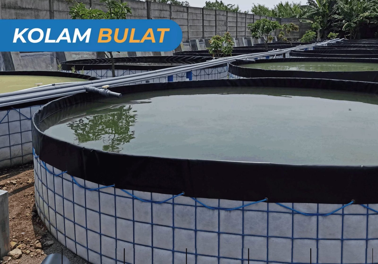 Kolam Budidaya – Rajawali Sarana Nusantara