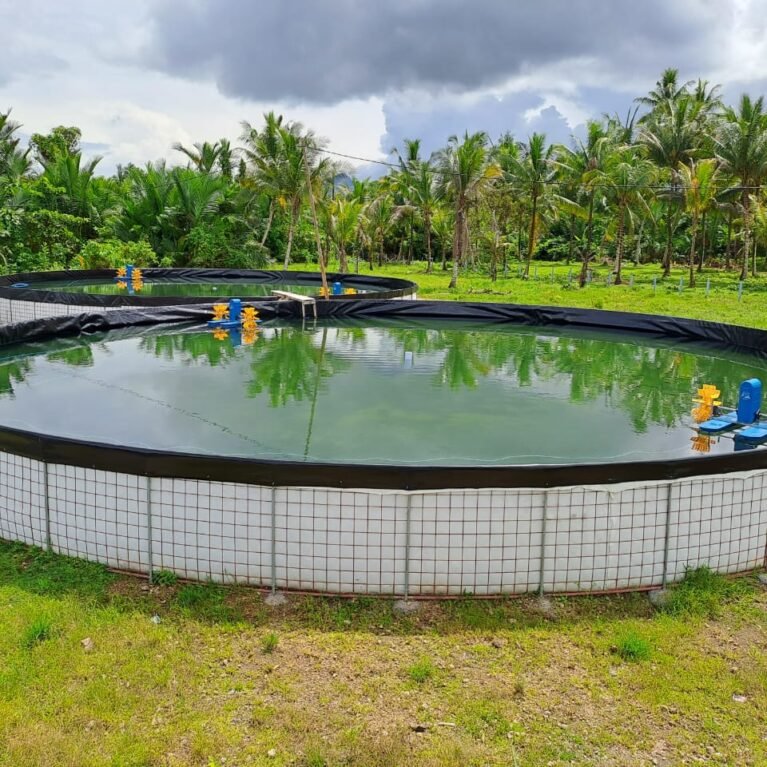 ternate